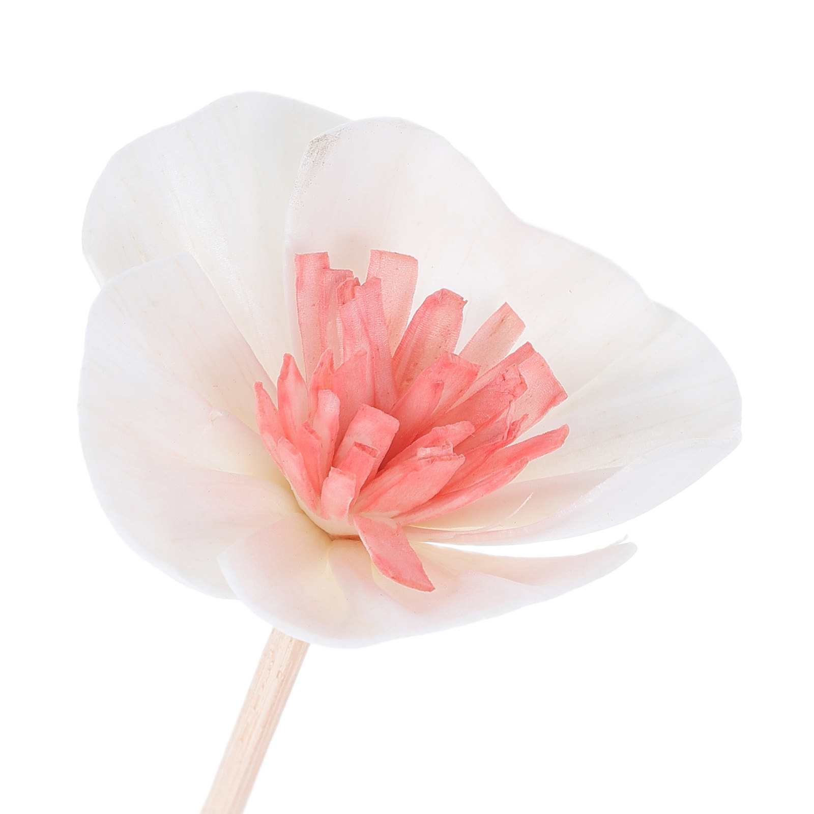 10 Adet Siyah Çok Gözenekli Fi - Home And You Fragrance Diffuser incelemesi ve fiyatı