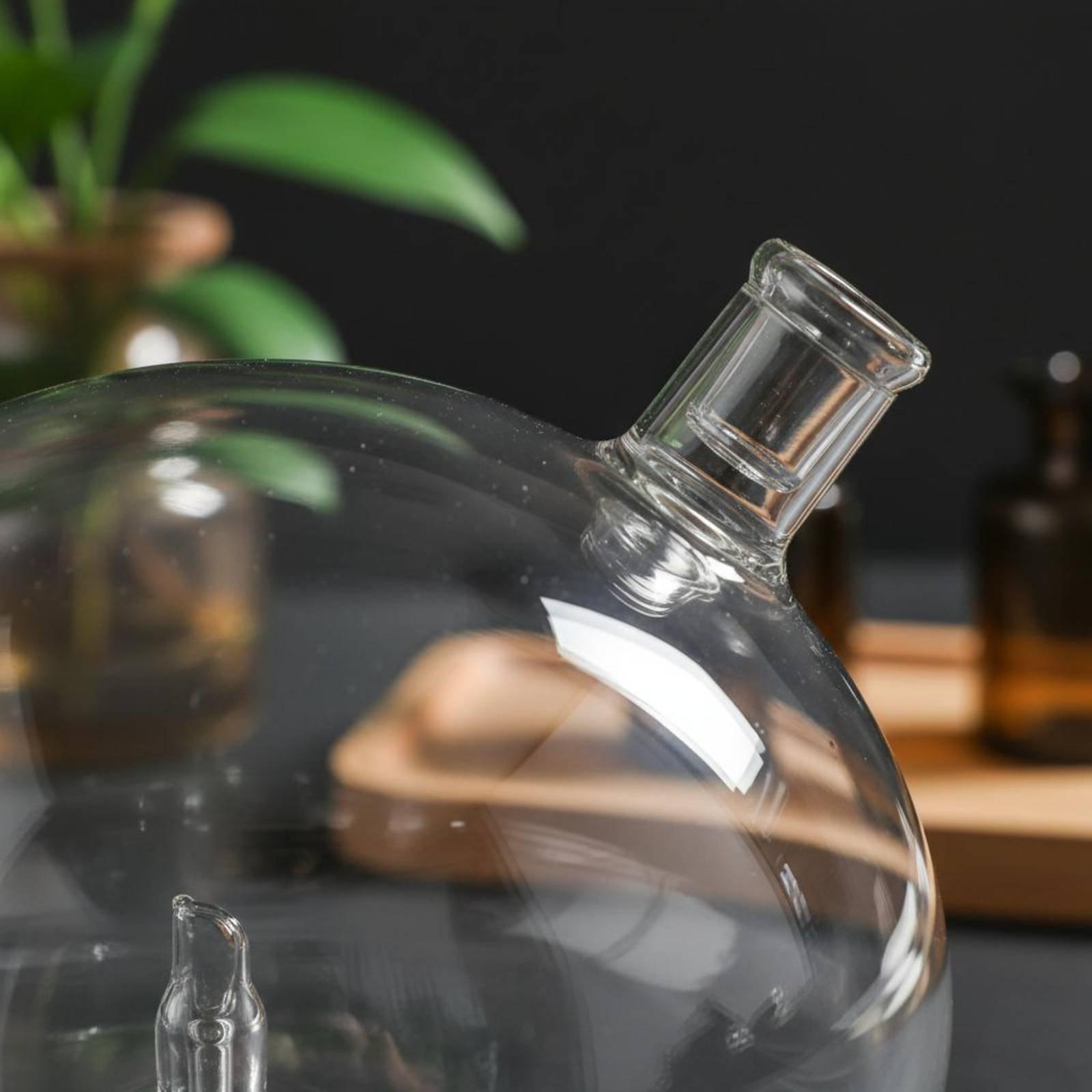 Difüzör Şişesi Evrensel Uyumlu - Home And You Fragrance Diffuser incelemesi ve fiyatı